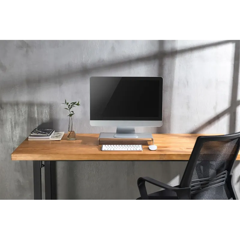 Podstawka DIGITUS pod monitor Slim do 10kg aluminiowa | PartsPC.pl