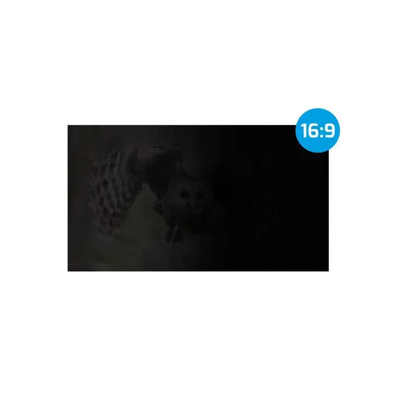 Filtr prywatyzujący RODO Natec Owl 24" 16:9 | PartsPC.pl