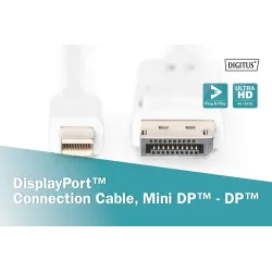 Kabel DisplayPort DIGITUS DP/M-DPmini /M, 1.1a biały, 2m | PartsPC.pl
