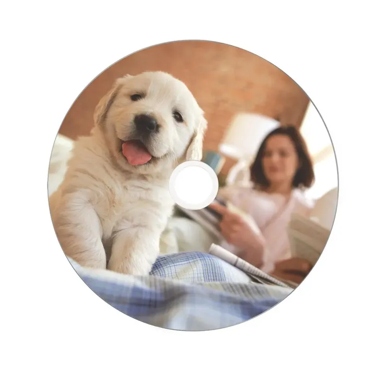 Płyty DVD+R DL Verbatim DataLife Plus 8.5GB 8x Wide | PartsPC.pl