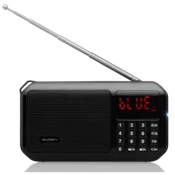 Radio przenośne GoGen FMP125BTB | PartsPC.pl