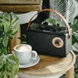 Radio FM Camry CR 1902 B Bluetooth, USB | PartsPC.pl