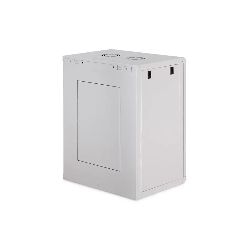 Szafa sieciowa wisząca jednosekcyjna DIGITUS Dynamic 19" | PartsPC.pl