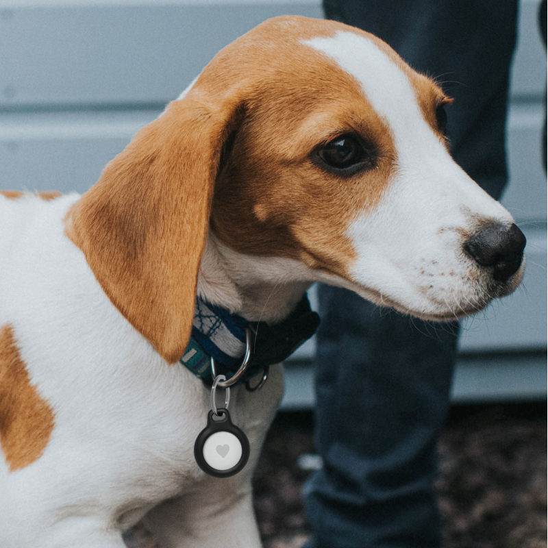 Belkin Uchwyty na AirTag z kółkiem do kluczy, 4 szt... | PartsPC.pl