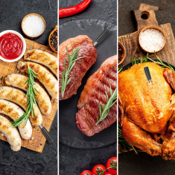 Tesla Cook BBQ 200 termometr do mięsa z sondą, Bluetooth... | PartsPC.pl